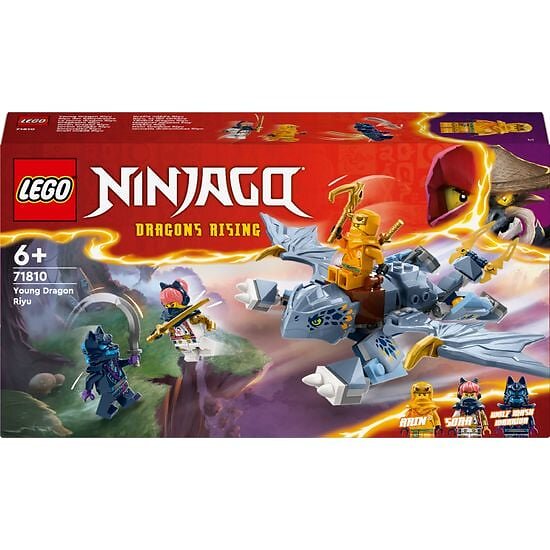 LEGO Ninjago 71810 Dragon King Riyu
